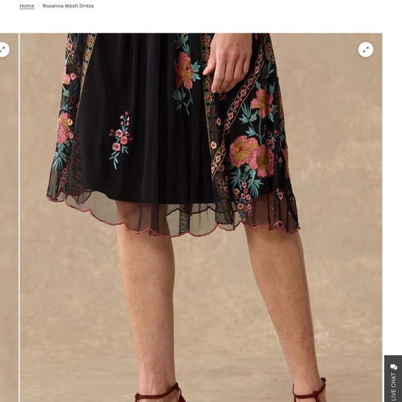 Roxanna Mesh Dress - Picture 6 of 7